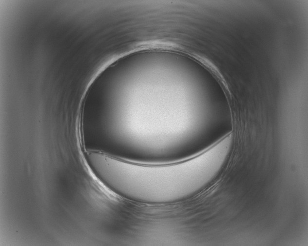 X0000062931391200601131102