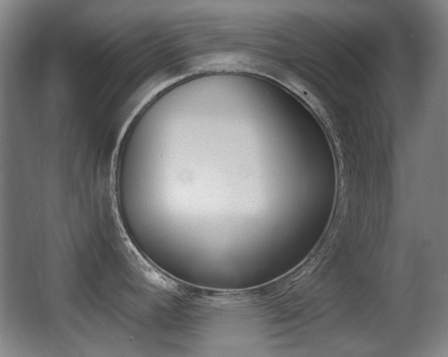 X0000062931392200601131102