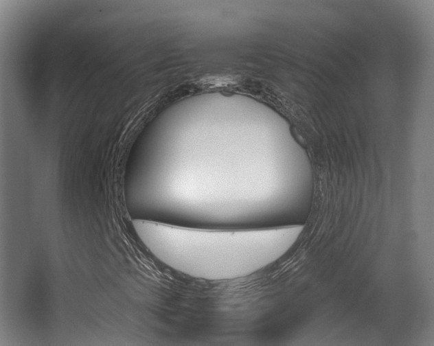 X0000062931393200601131101