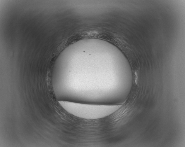 X0000062931395200601131102