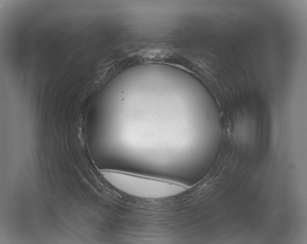 X0000062931396200601131102