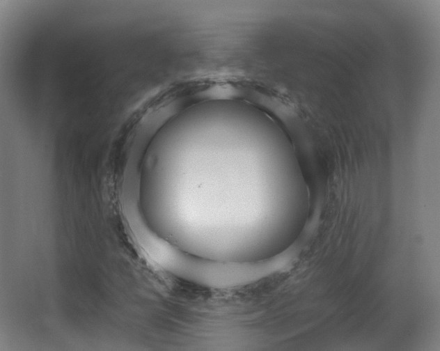 X0000062931398200601131102