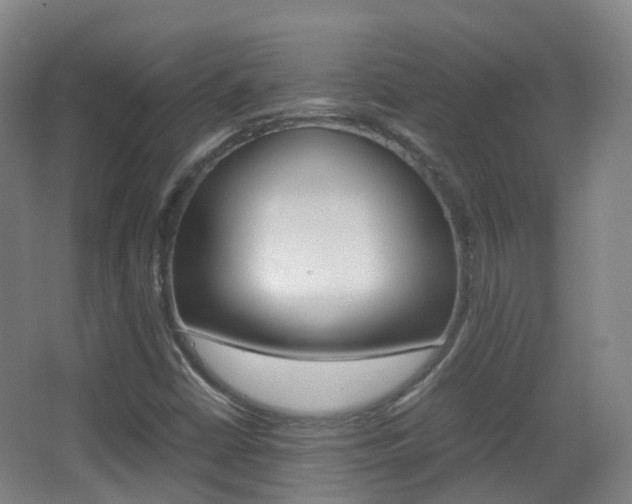 X0000062931402200601131102