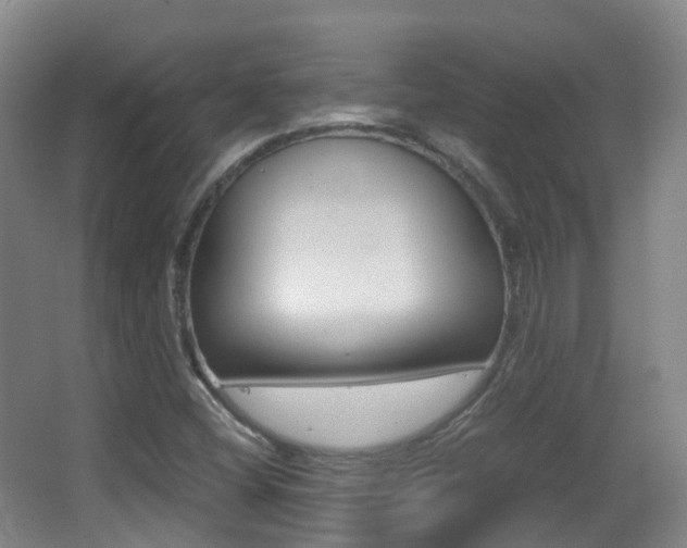 X0000062931404200601131102