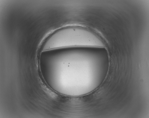 X0000062931408200601131102
