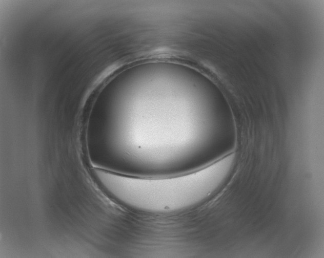 X0000062931410200601131102