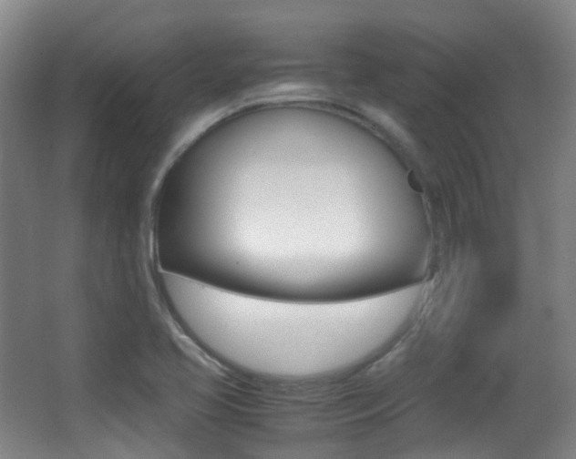 X0000062931413200601131102