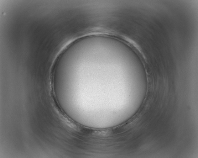 X0000062931415200601131102