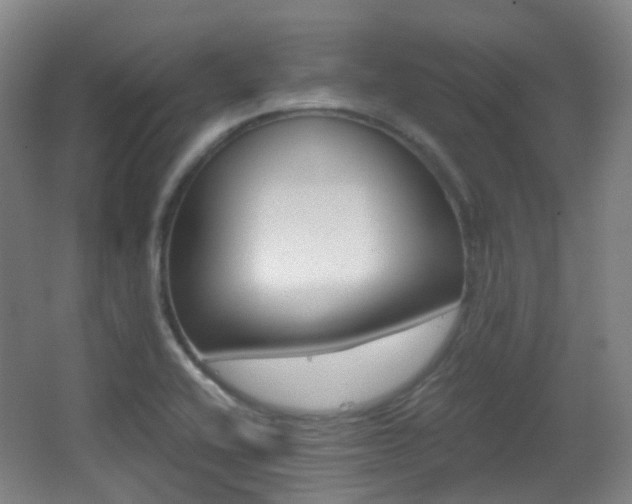 X0000062931416200601131102