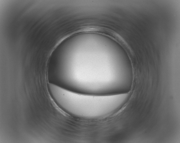 X0000062931417200601131102