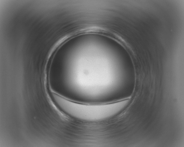 X0000062931418200601131102