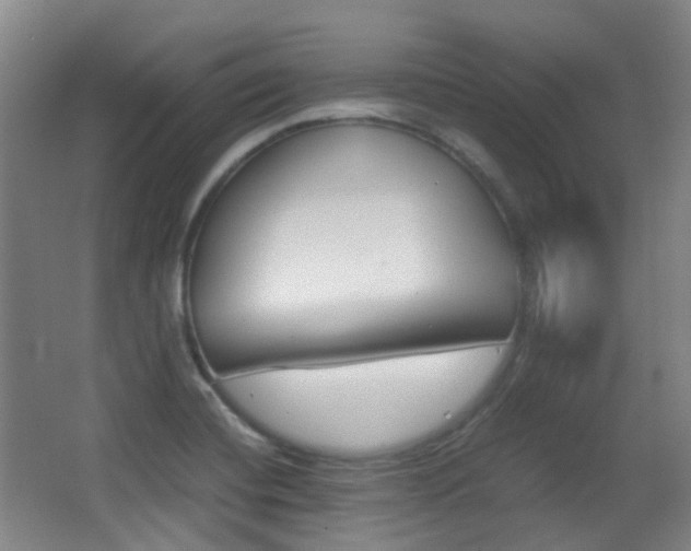 X0000062931420200601131102