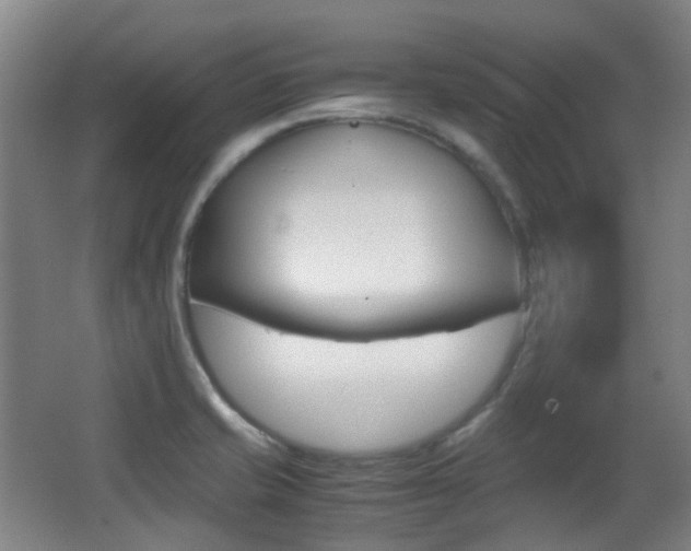 X0000062931421200601131102