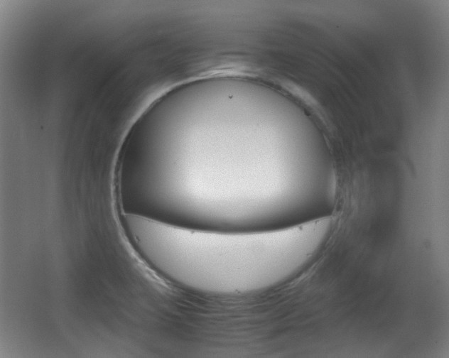 X0000062931423200601131102