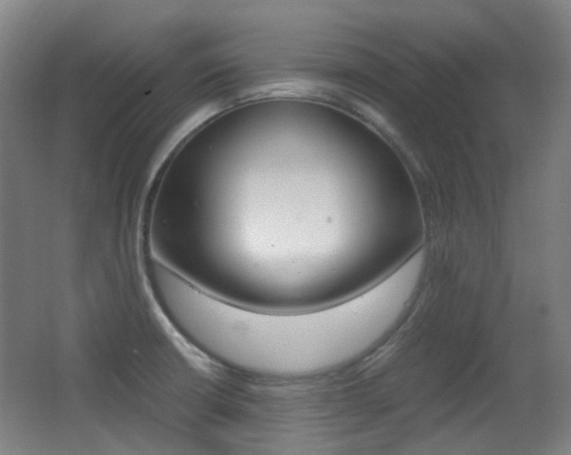 X0000062931426200601131102