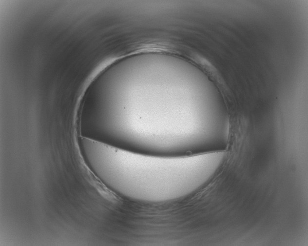 X0000062931427200601131102