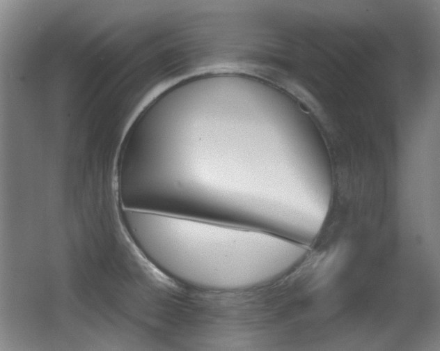 X0000062931428200601131102