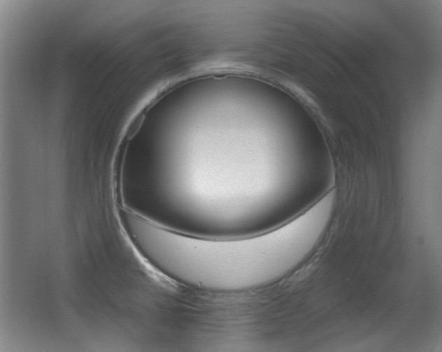 X0000062931430200601131102