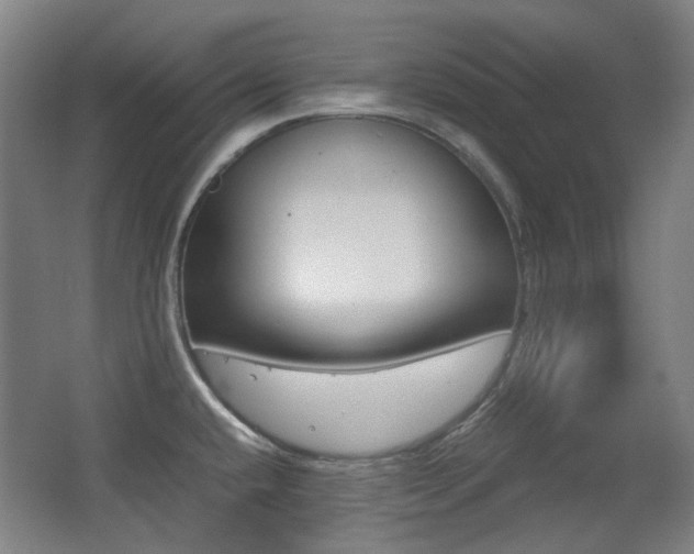 X0000062931432200601131102