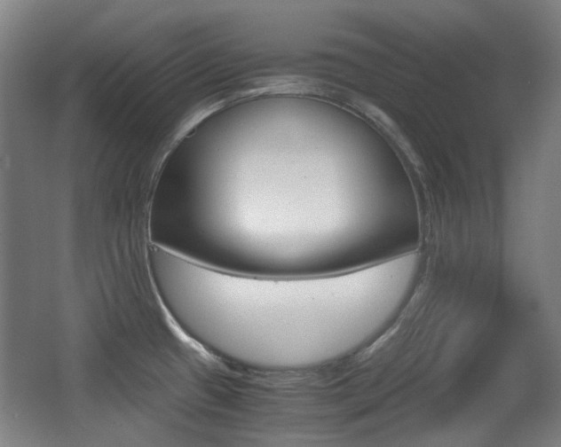 X0000062931433200601131102