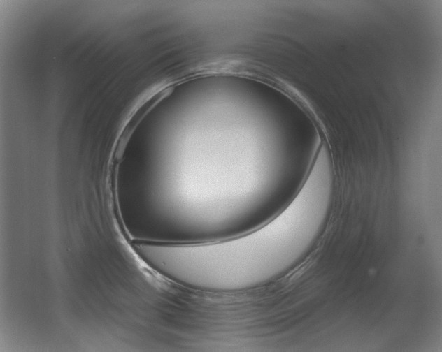 X0000062931434200601131102