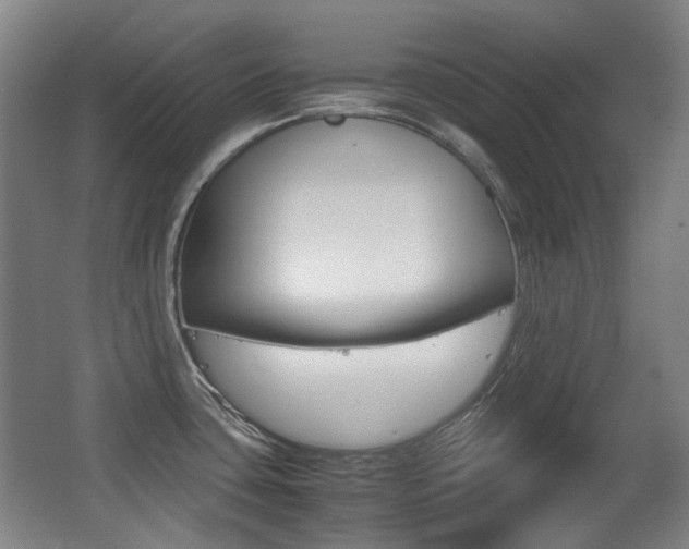 X0000062931435200601131102