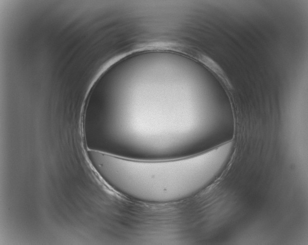 X0000062931436200601131102