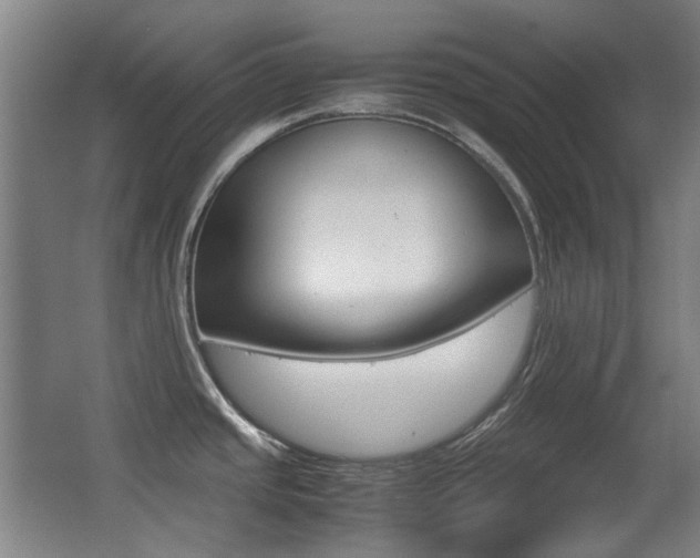 X0000062931437200601131102
