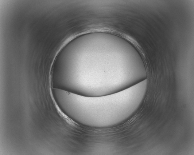X0000062931439200601131102
