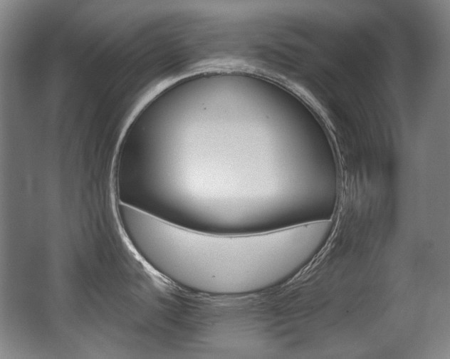 X0000062931440200601131102