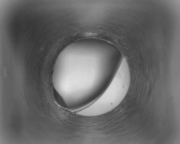 X0000062931441200601131101