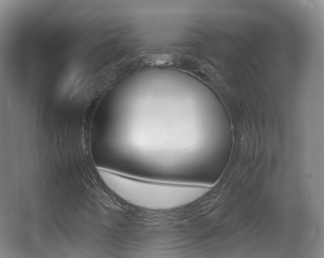 X0000062931442200601131101