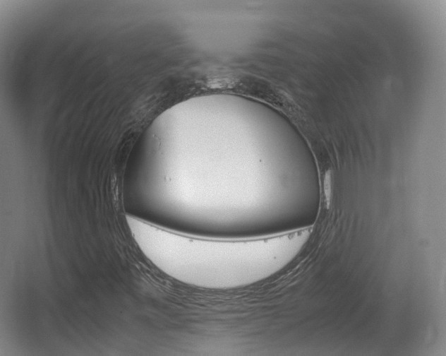 X0000062931443200601131101