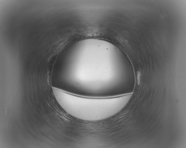 X0000062931444200601131101