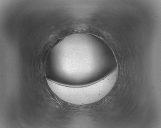 X0000062931445200601131101