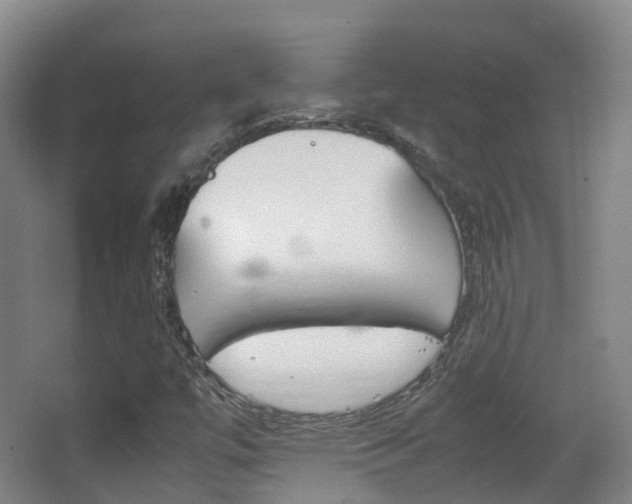 X0000062931447200601131101