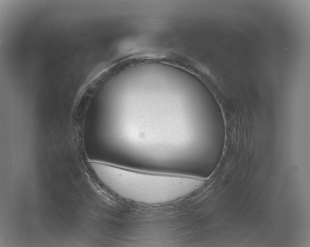 X0000062931448200601131101