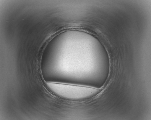 X0000062931449200601131101