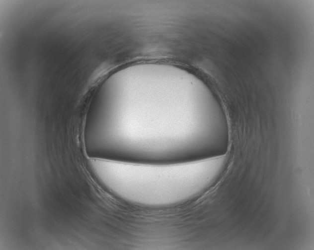 X0000062931451200601131101