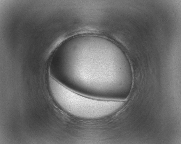 X0000062931455200601131101