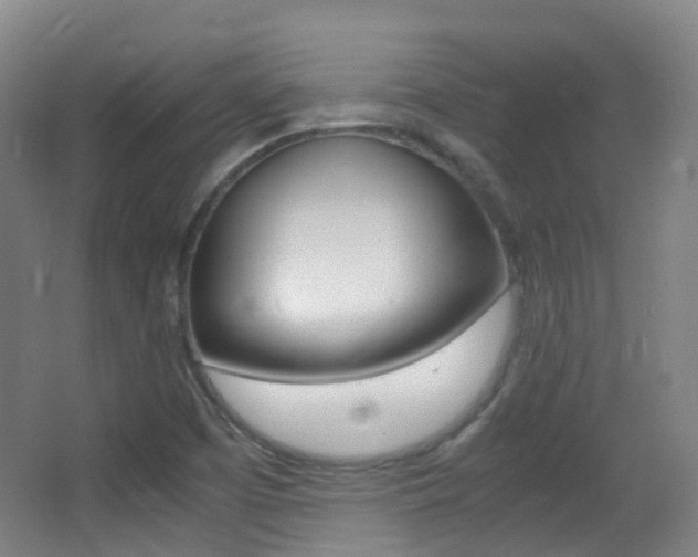 X0000062931457200601131101