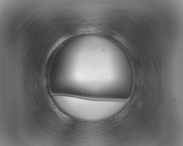 X0000062931458200601131101