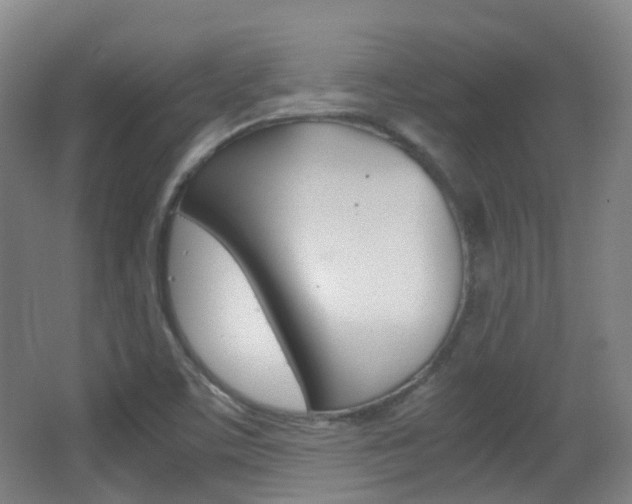 X0000062931459200601131101