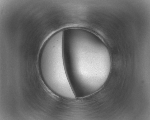 X0000062931460200601131101