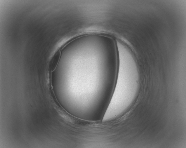 X0000062931461200601131101