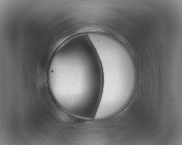 X0000062931465200601131101