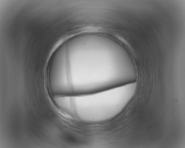 X0000062931467200601131101