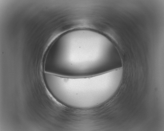 X0000062931468200601131101