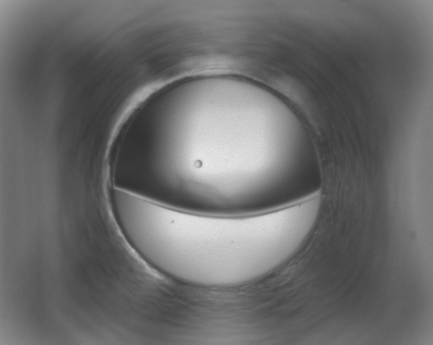 X0000062931472200601131101