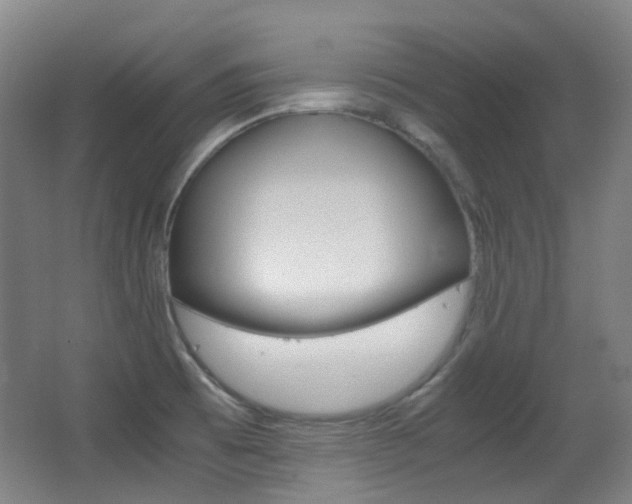 X0000062931473200601131101
